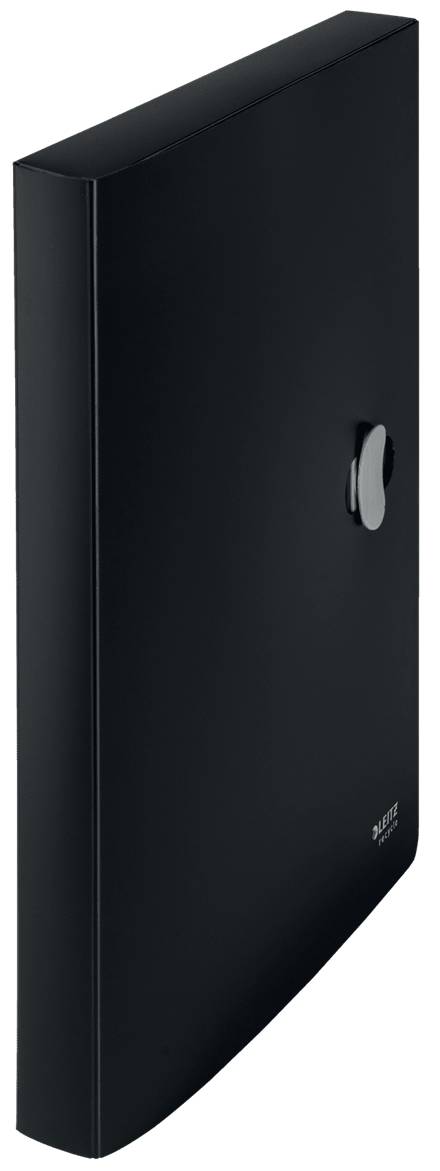 Esselte Leitz Aktenbox - Rückenbreite: 38 mm - für A4 (210 x 297 mm)