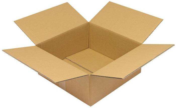 Offene Kartonversandbox mit vier ausgebreiteten Klappen auf weißem Hintergrund.