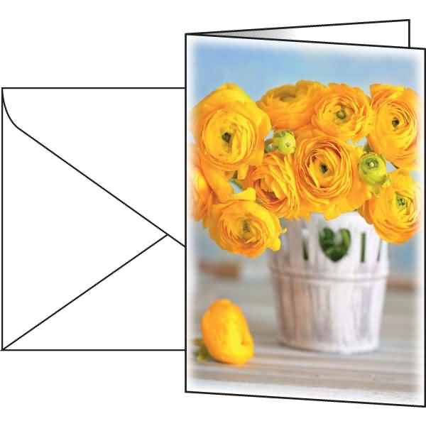 Motiv-Karte 115x170mm 220g/qm Ranunculus inkl. Umschläge 10 Stück
