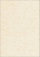 Sigel Textured Paper DP655 - Champagnerfarben - A4 (210 x 297 mm)