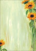 Sigel Design Paper Sunflower - A4 (210 x 297 mm)