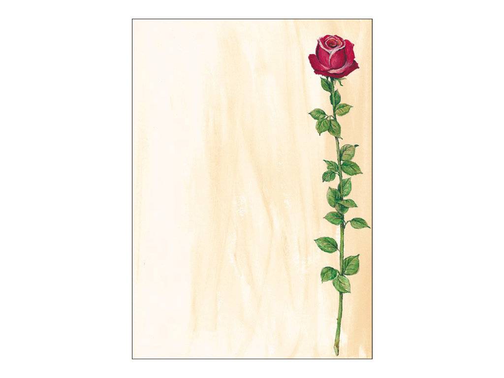 Sigel Design Paper Rose Bloom - A4 (210 x 297 mm)