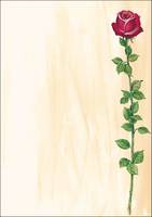 Sigel Design Paper Rose Bloom - A4 (210 x 297 mm)