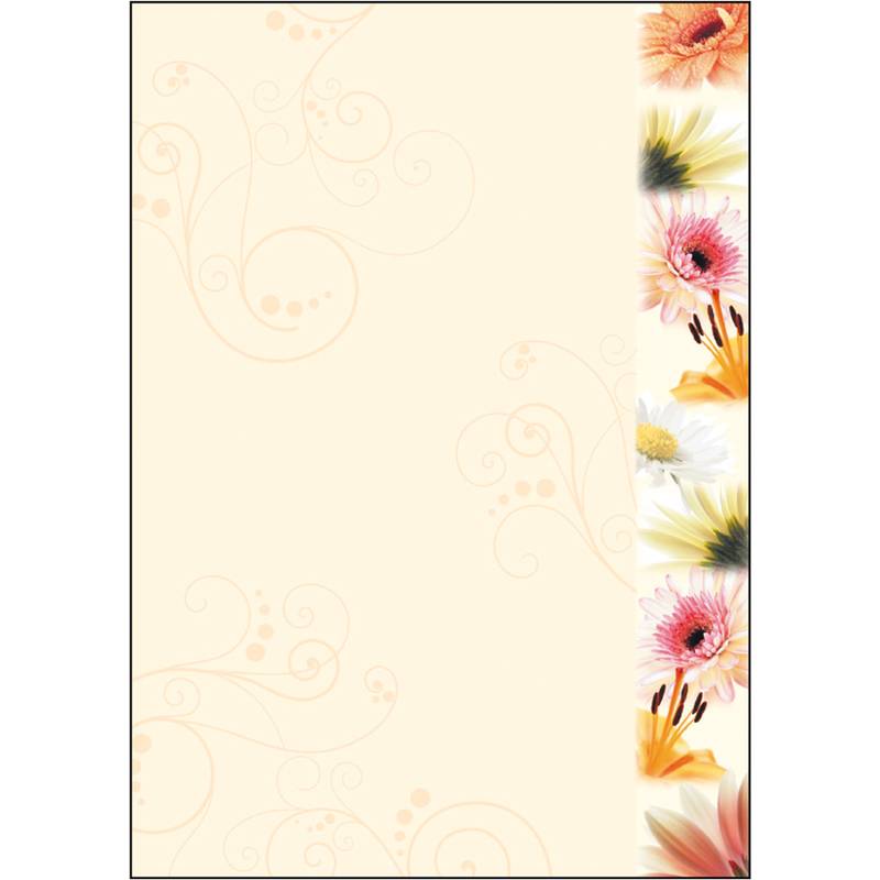 Cremefarbene Blumenbordüre-Vorlage mit zarten Schnörkeln und einem vertikalen Streifen aus farbenfrohen Gänseblümchen und Gerbera-Blumen an der rechten Kante; leere Mitte für Text.