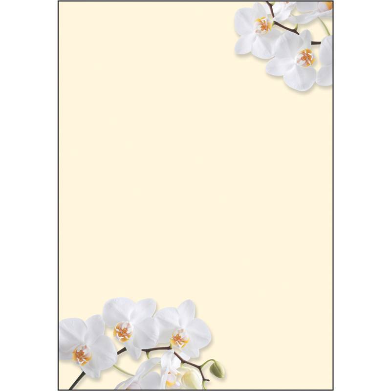 Cremefarbene Blanko-Karte mit weißen Orchideenblüten in der oberen rechten und unteren linken Ecke, wobei der Mittelpunkt Platz für Text lässt.