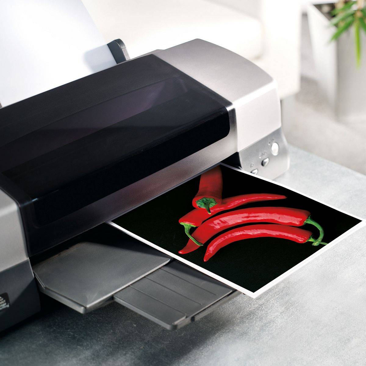 SIGEL Inkjet Fotopapier Everyday, hochglänzend, 200 g/m², 10x15 cm, 24 Blatt