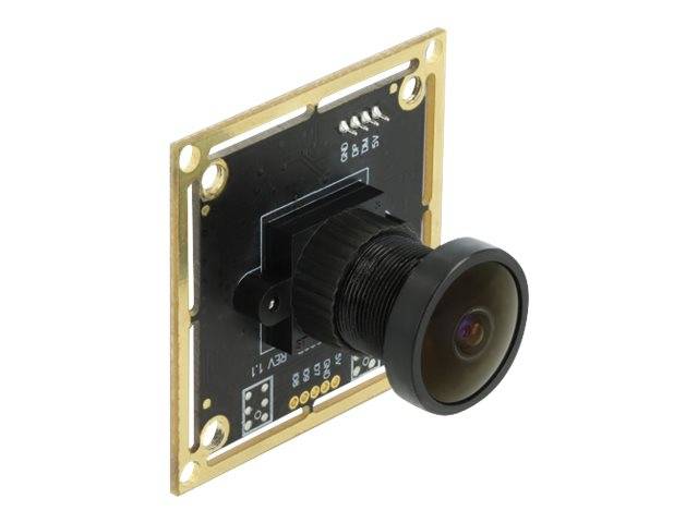 DeLOCK USB 2.0 Camera Module with Wide Dynamic Range