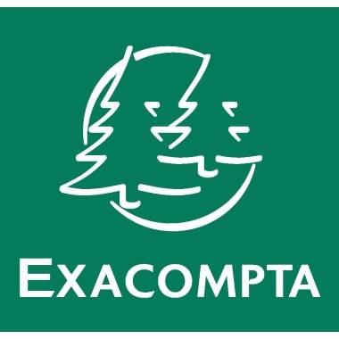 Exacompta Sammelmappe 55809E A4 PP Gummizug 3Klappen gelb