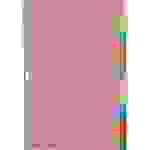 LEITZ Tauenpapier-Register, blanko, A4, 10-teilig,mehrfarbig