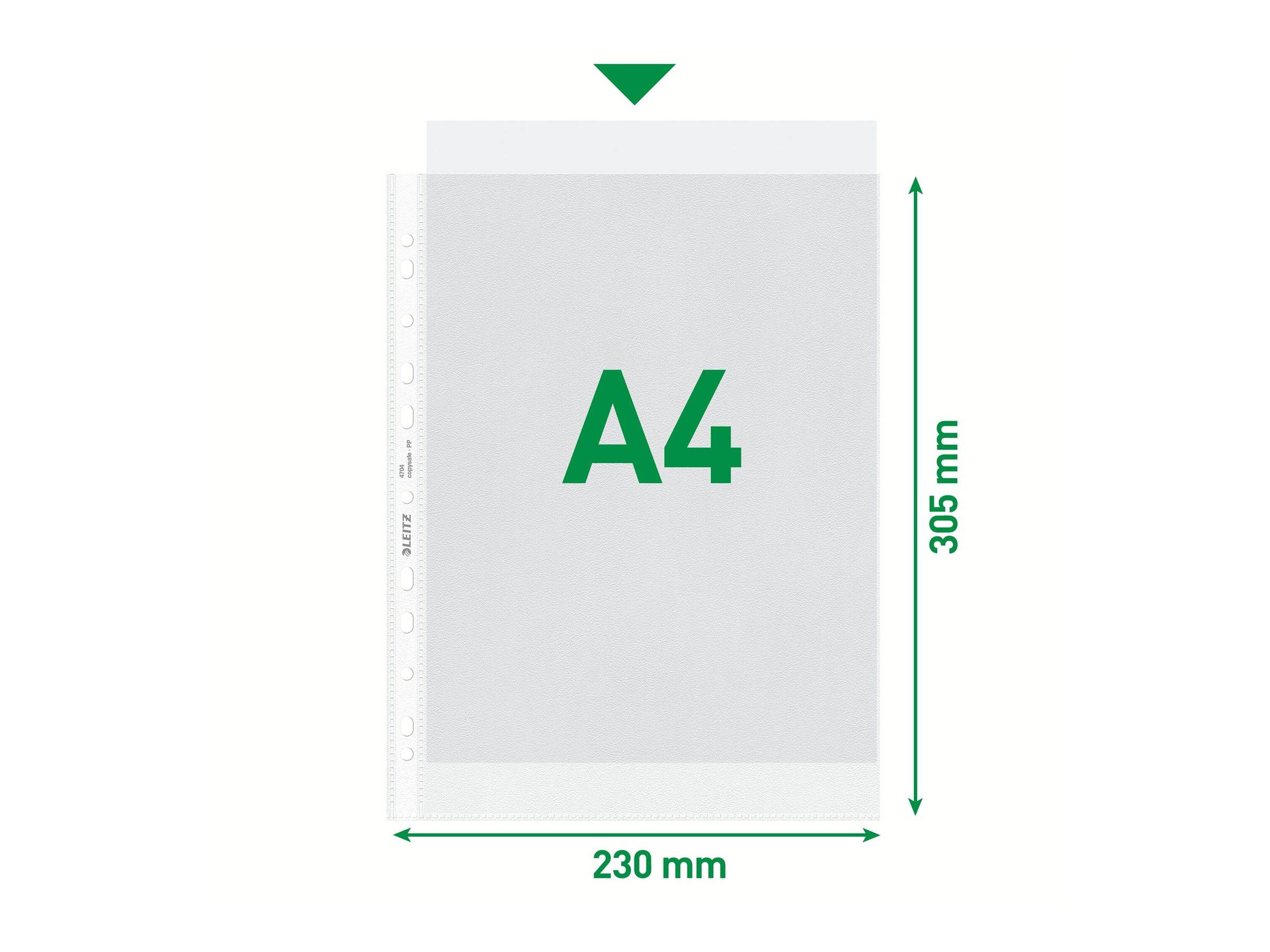 ESSELTE LEITZ - Leitz - Schutzhülle - für A4 - klar