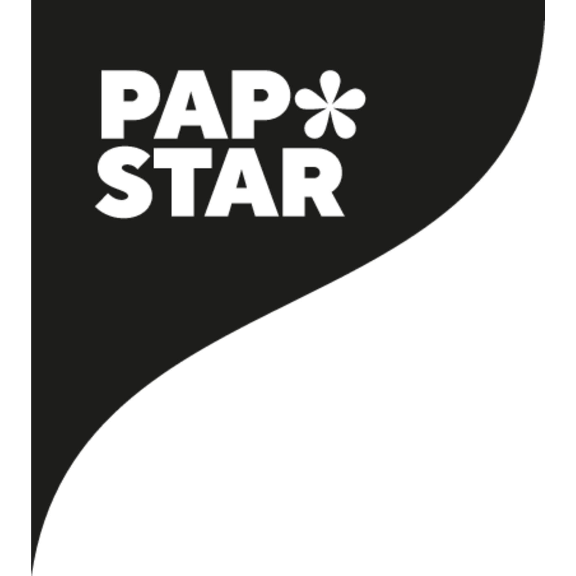 PAPSTAR Besteckset pure 88229 Holz Papierbeutel 50 St./Pack.