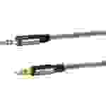 Schwaiger AINSTEIN Premium Audio Anschlusskabel 3,5 mm Buchse Aux KabelBuchse Stecker an Buchse Stecker 1,5 m Space Grau