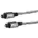 Schwaiger Ainstein Premium Lichtwellenleiter Anschlusskabel mit 2x TOSLINK Stecker Digital Audio Kabel Male 1M