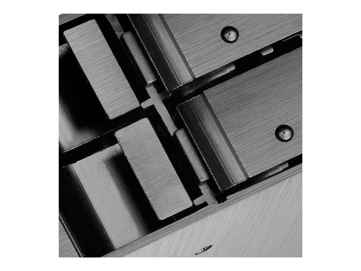 SilverStone FS204 - Gehäuse für Speicherlaufwerke - 2.5" (6.4 cm)