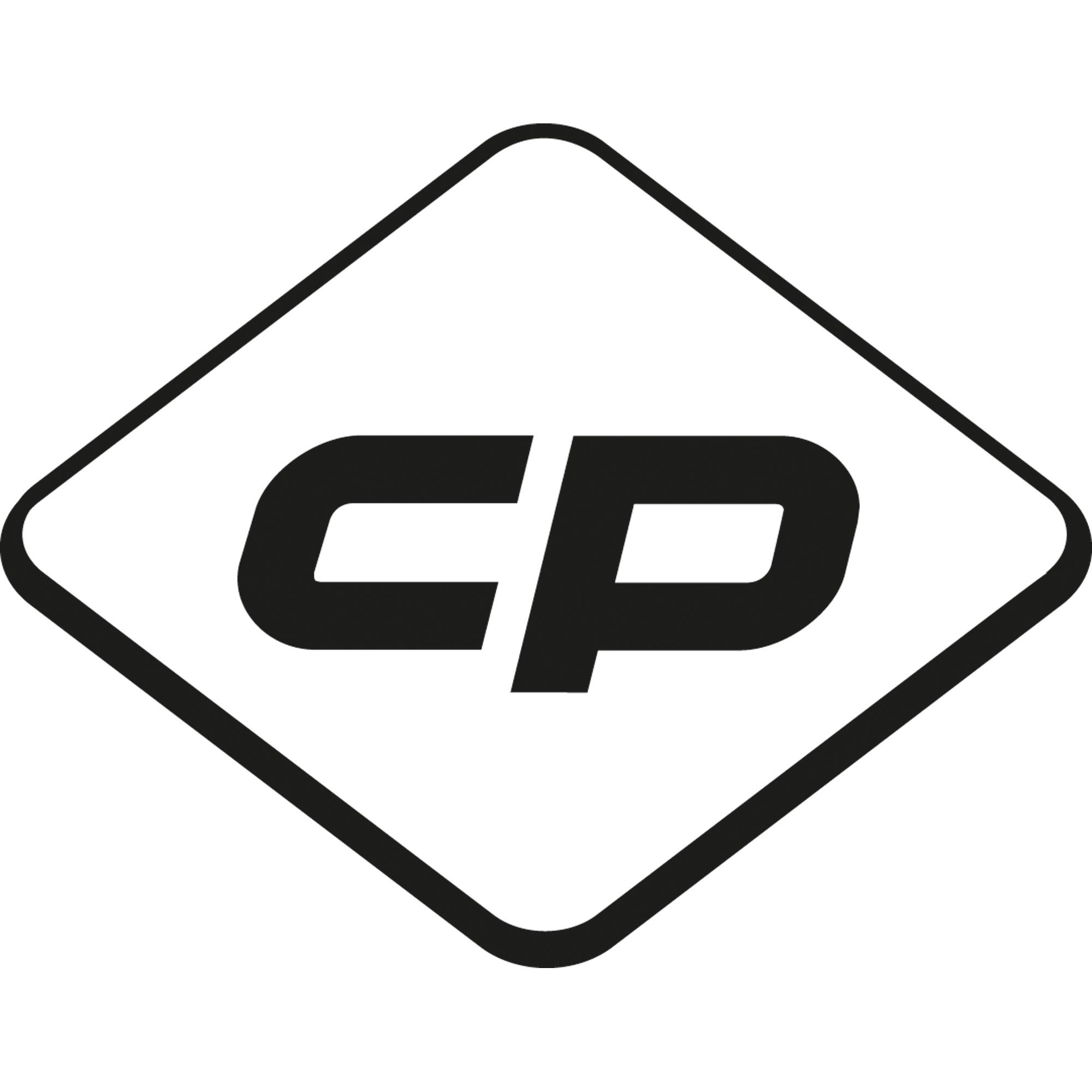 C+P Werkzeugschrank 893100S10320 4Böden 1950x1200x500mm lgr/rrt