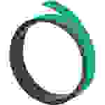 FRANKEN Magnetband, (L)1.000 x (T)5 x (H)1 mm, grün