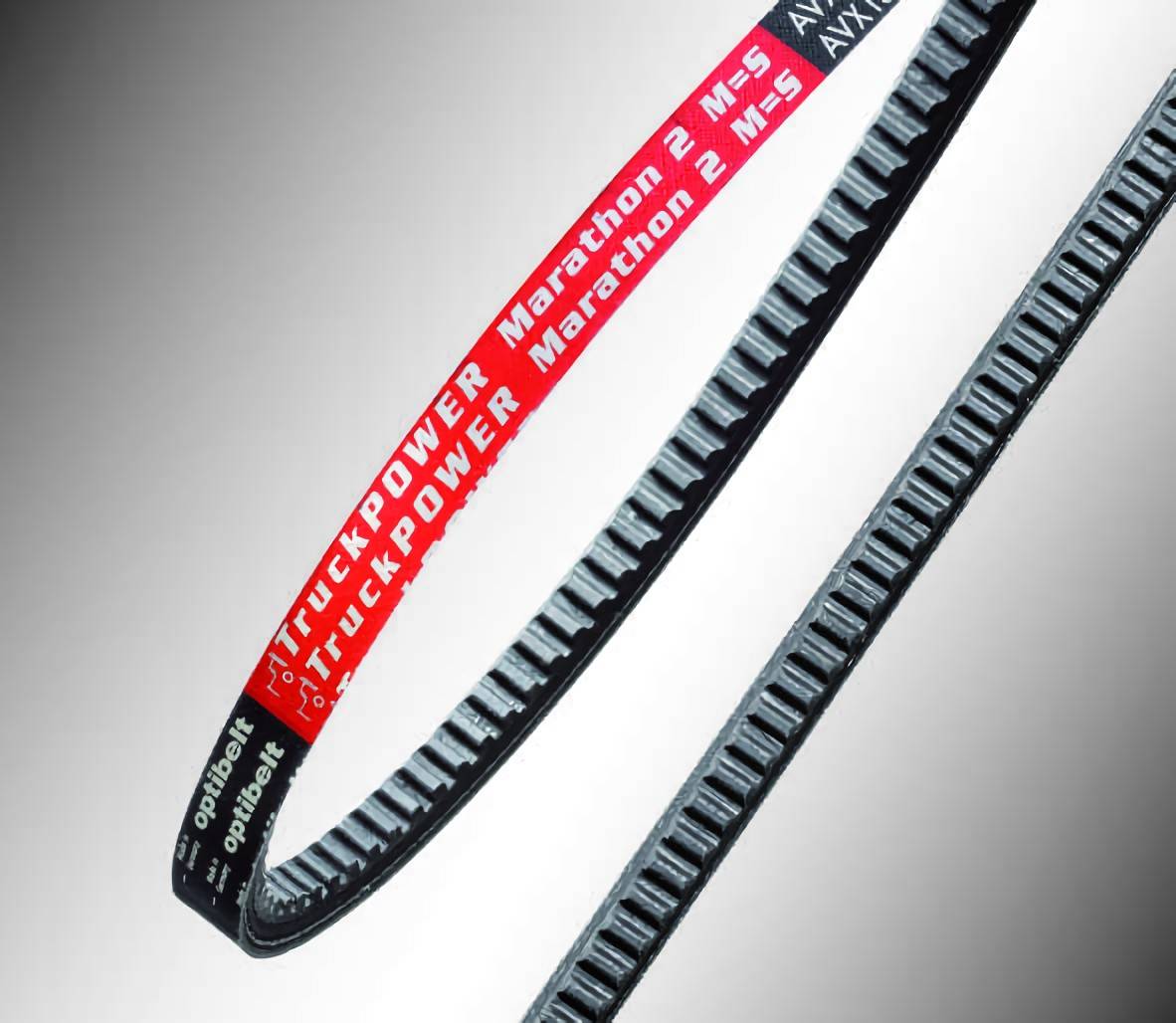 optibelt TRUCK POWER MARATHON 2 AVX 13 x 1825 TM Keilriemen - flankenoffen, wart