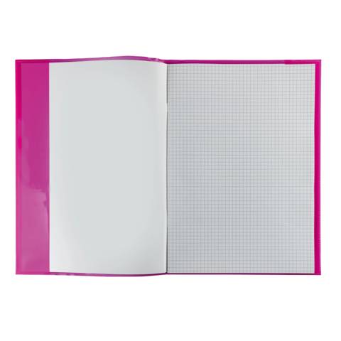 Heftschoner Transparent PLUS A4 pink