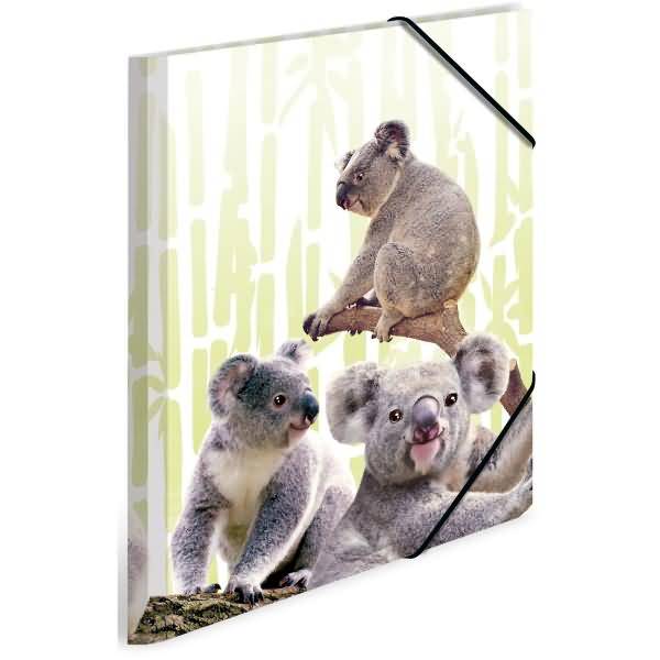 Sammelmappe A4 PP Koalafamilie
