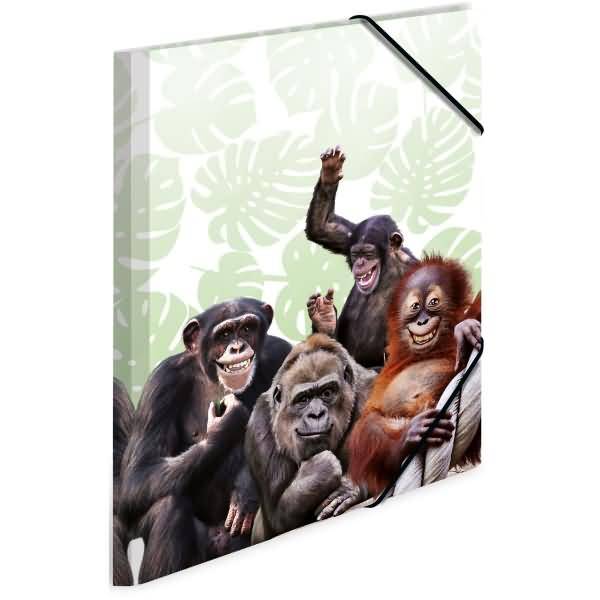 Sammelmappe A4 PP Affenbande