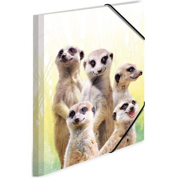 Sammelmappe A4 PP Erdmännchentruppe