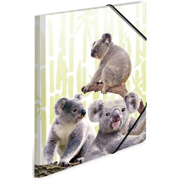 Sammelmappe A3 PP Koalafamilie