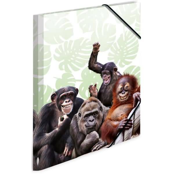 Sammelmappe A3 PP Affenbande