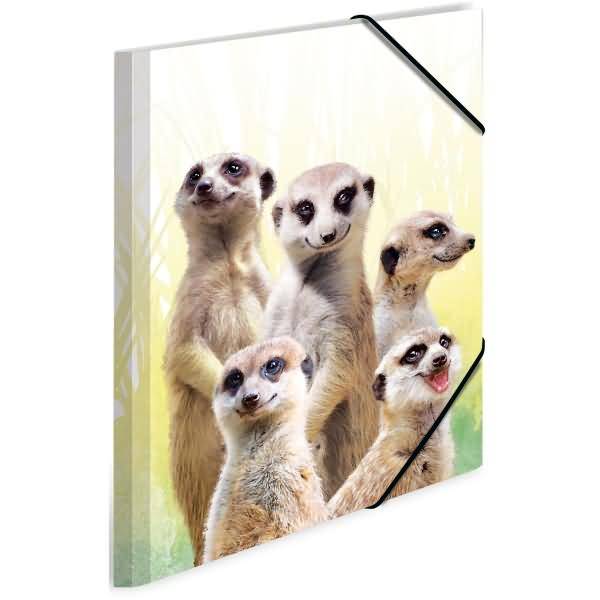 Sammelmappe A3 PP Erdmännchentruppe
