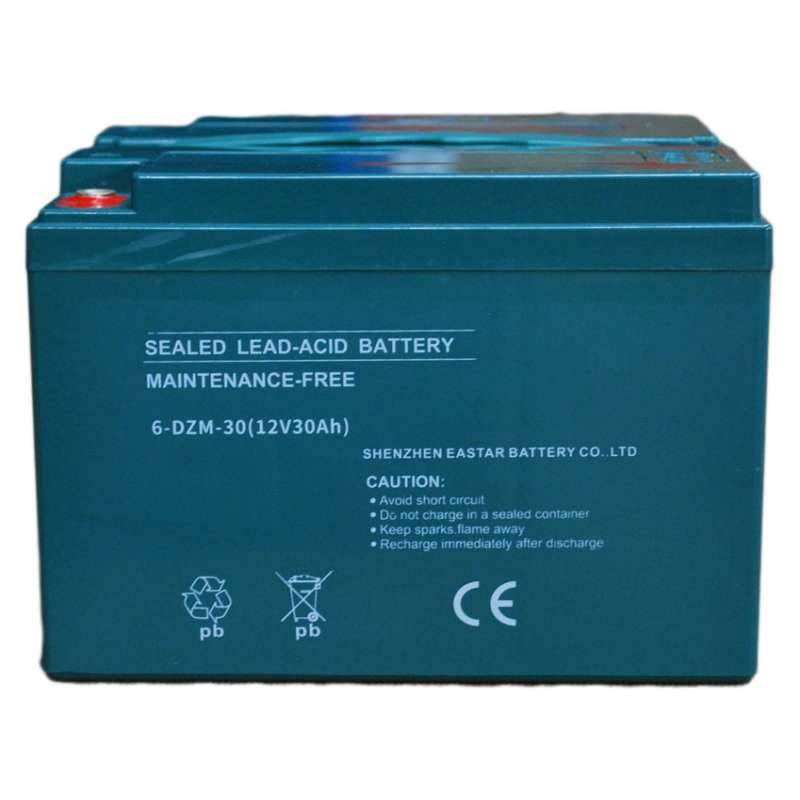 Akku 6-DZM-30 12V 30Ah - passend für Elektromobile