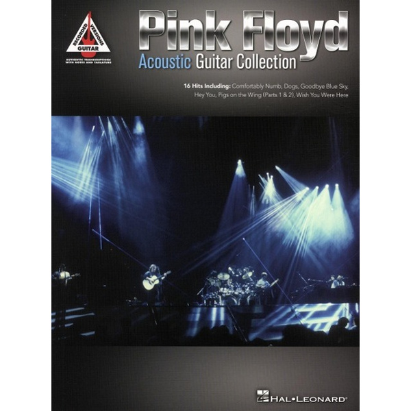 Pink Floyd Acoustic Guitar Collection Guitar Recorded Versions