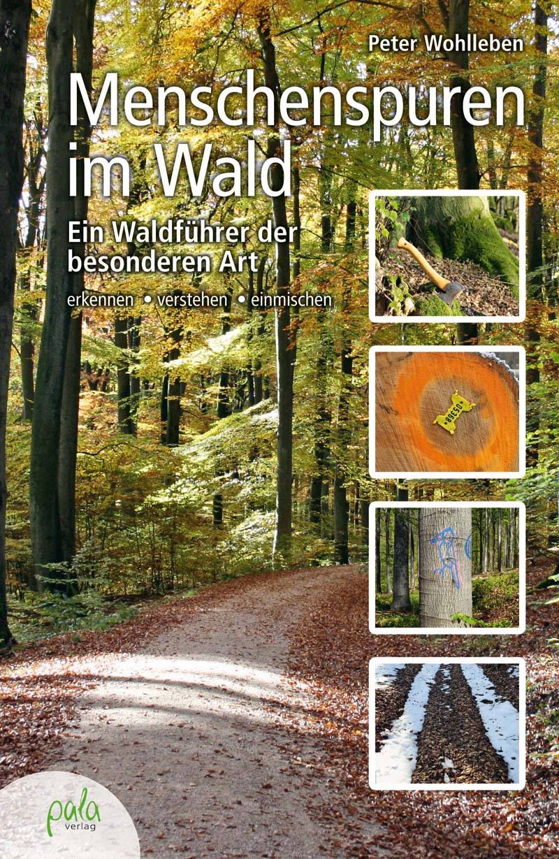 Menschenspuren im Wald Ein Waldführer der besonderen Art - erkennen, verstehen, einmischen