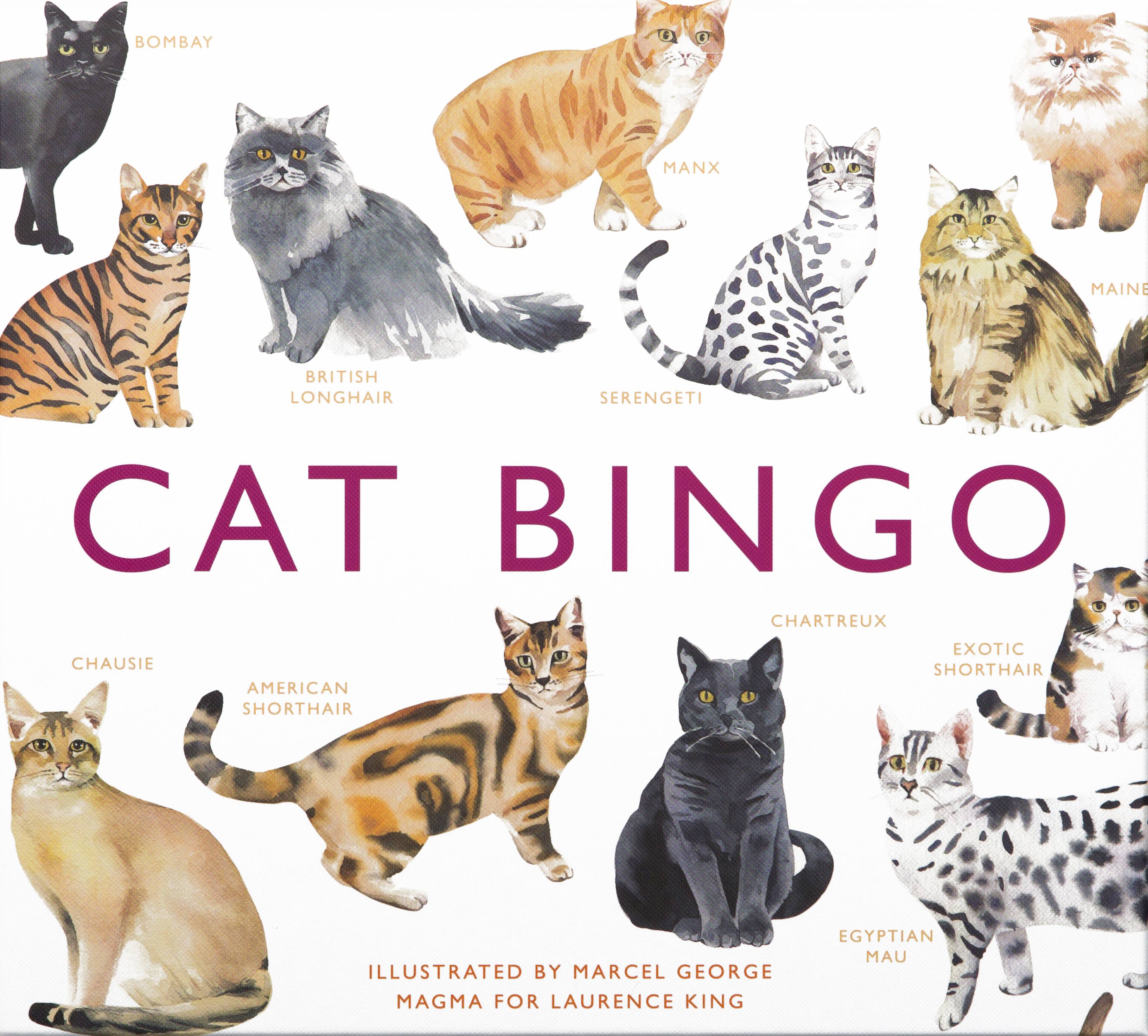 Cat Bingo Gesellschaftsspiel ab 6 Spieler