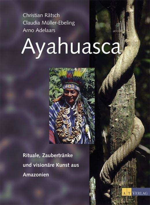 Ayahuasca Rituale, Zaubertränke und visionäre Kunst aus Amazonien
