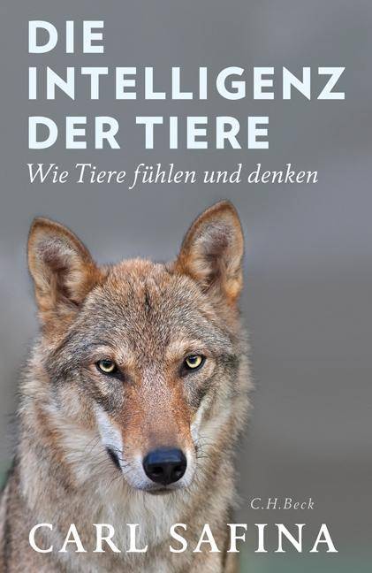 Die Intelligenz der Tiere Wie Tiere fühlen und denken