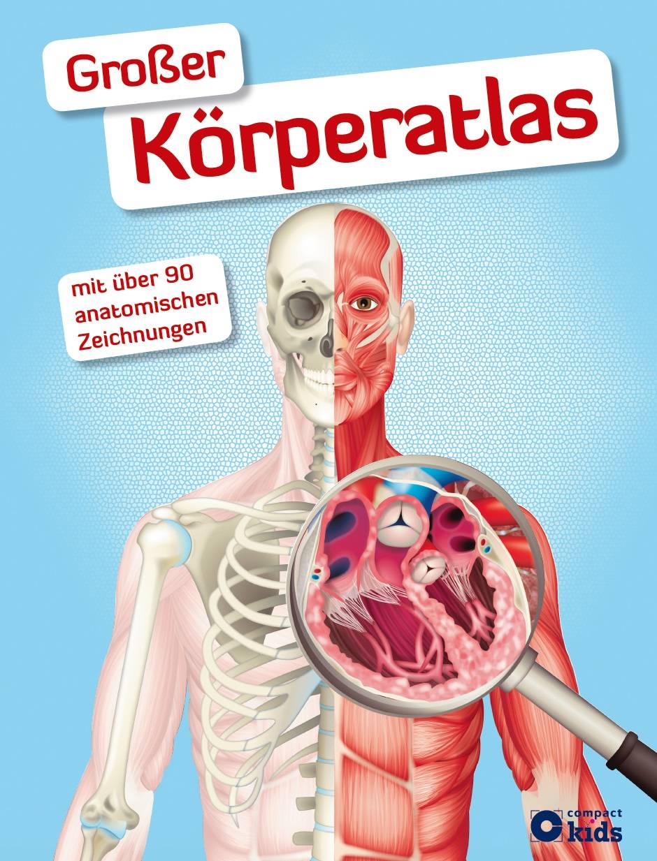 Großer Körperatlas Mit über 90 anatomischen Zeichnungen