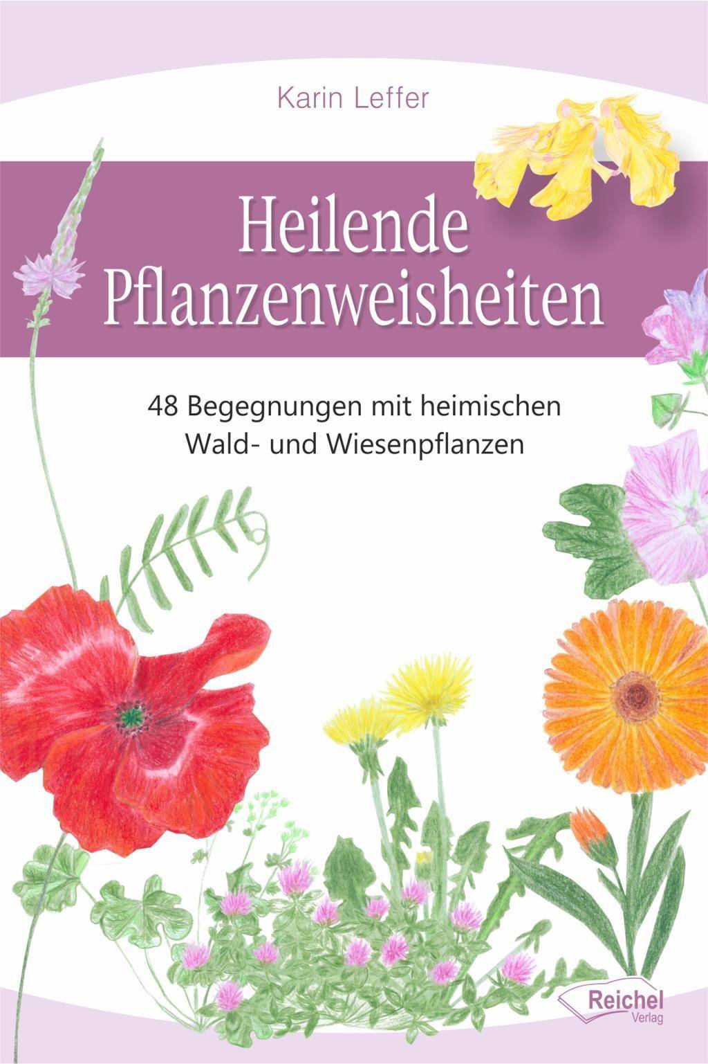Heilende Pflanzenweisheiten 48 Begegnungen mit heimischen Wald- und Wiesenpflanzen