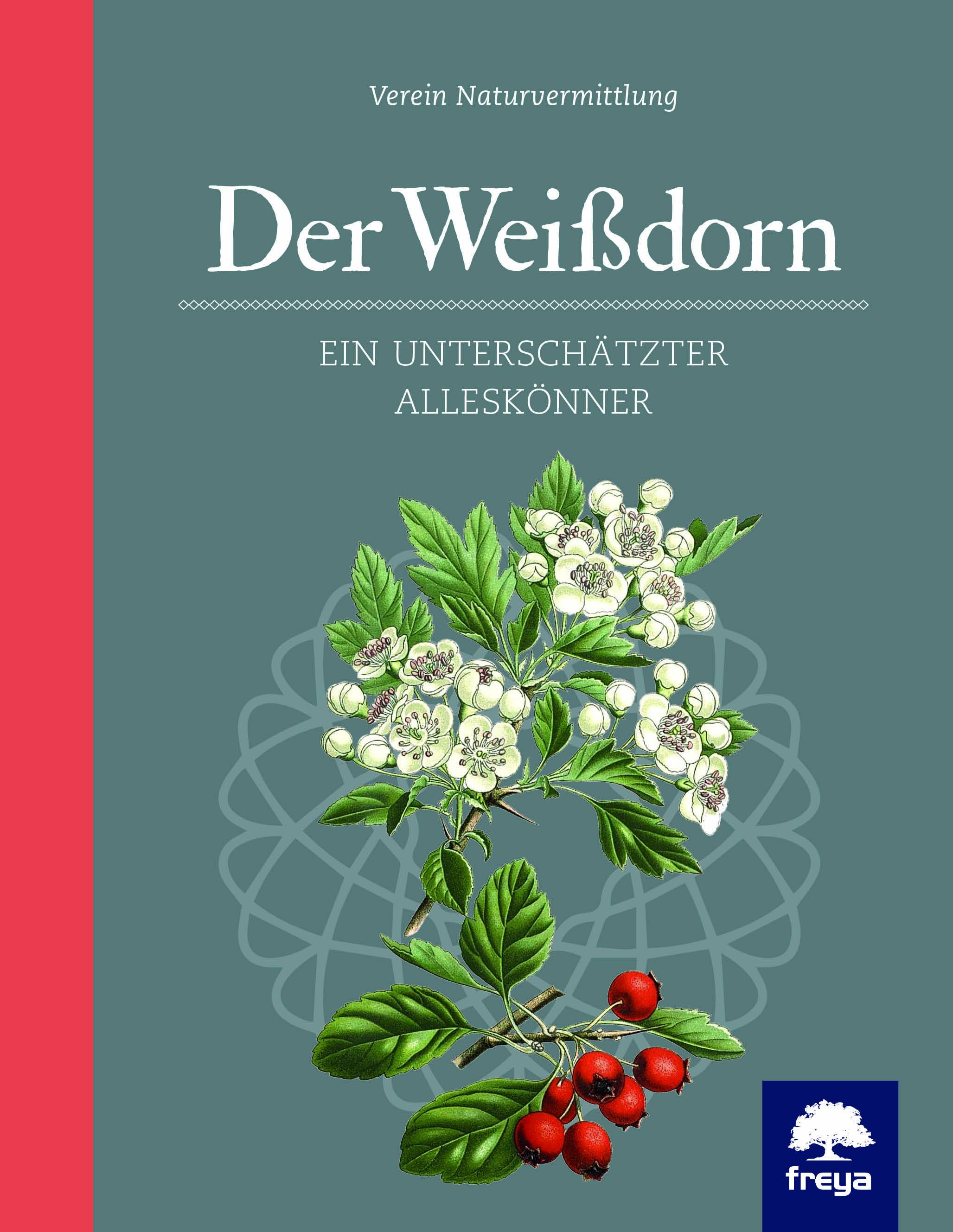 Weißdorn Ein unterschätzter Alleskönner