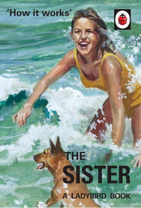 How it Works: The Sister A Ladybird Book
