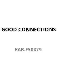 Good Connections KAB-E50X79 - Lösbarer Kabelbinder - Edelstahl - Edelstahl - 12,