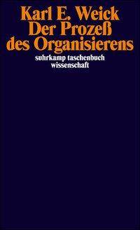 Der Prozeß des Organisierens suhrkamp taschenbuch wissenschaft 1194
