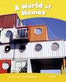 Penguin Kids 6/ World of Homes Reader CLIL AmE