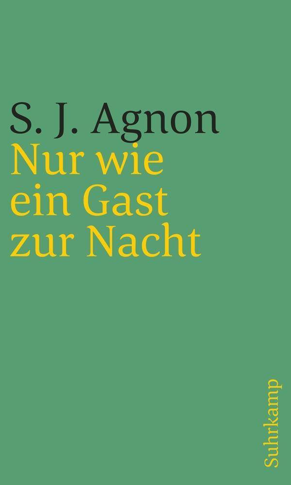 Nur wie ein Gast zur Nacht Roman