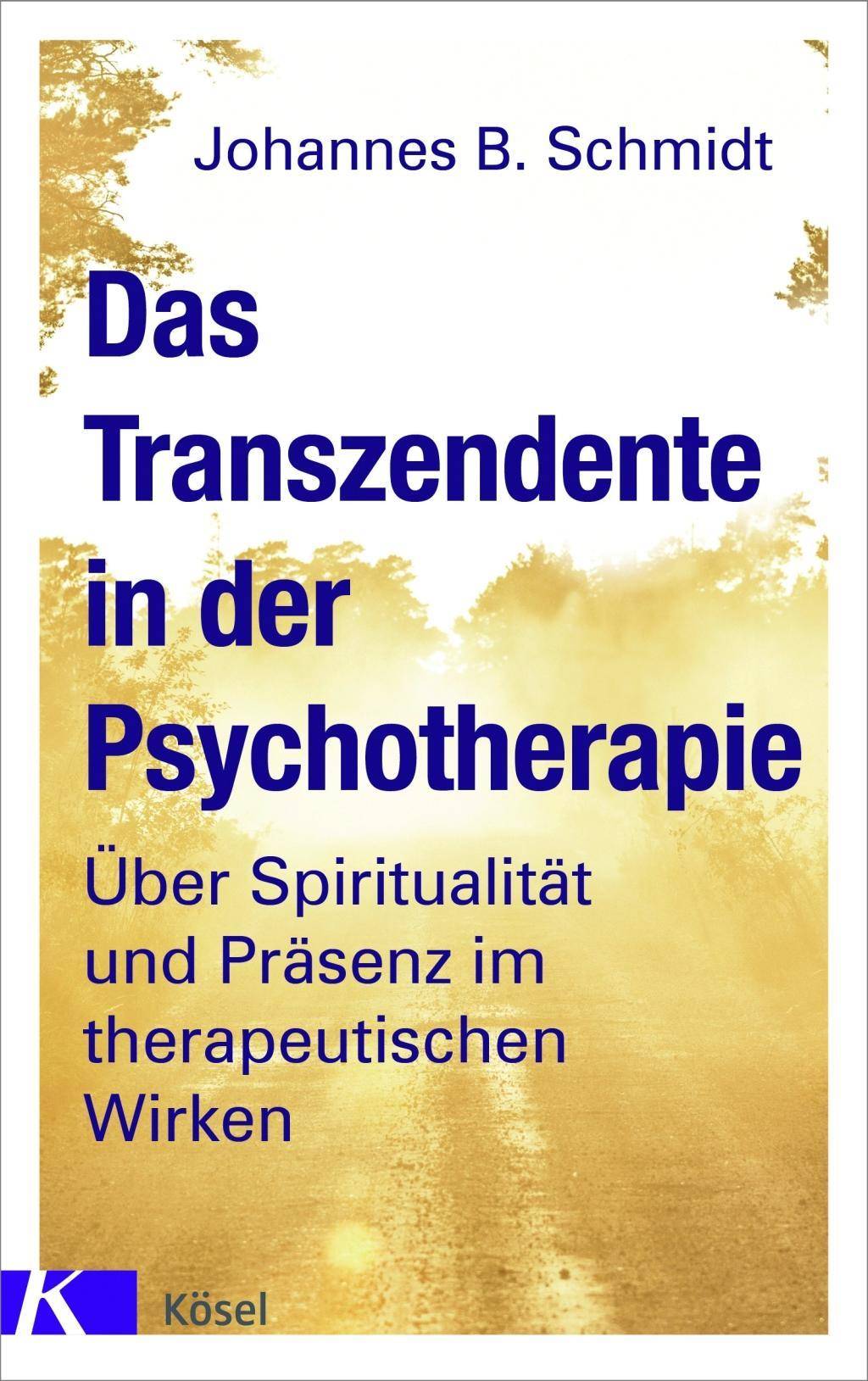 Das Transzendente in der Psychotherapie Über Spiritualität und Präsenz im therapeutischen Wirken. Mit einem Vorwort von Eugen Drewermann