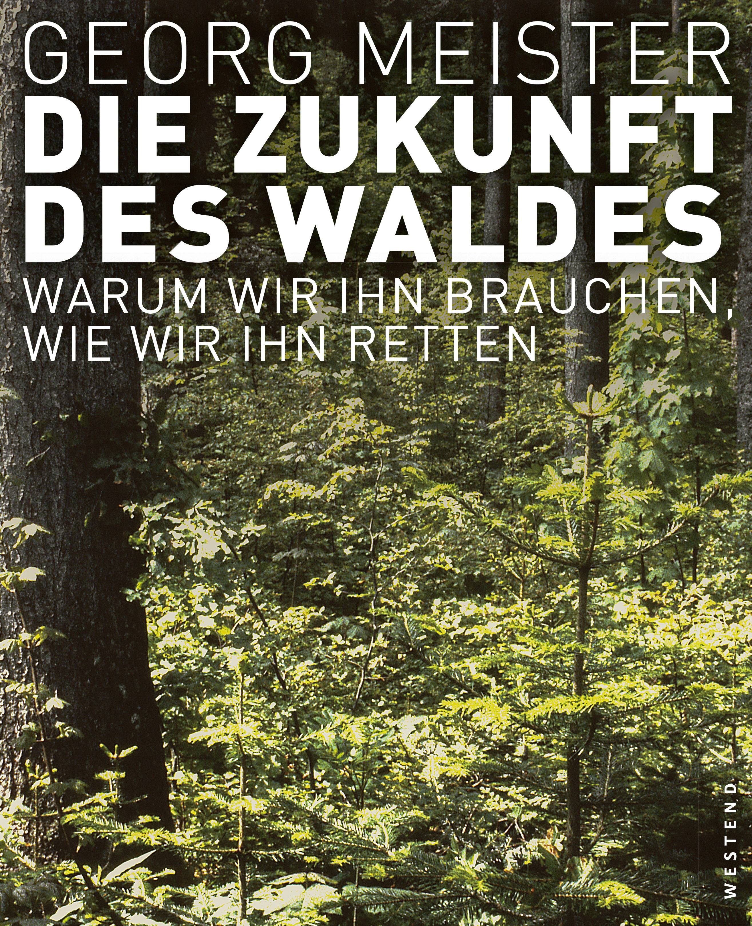 Die Zukunft des Waldes Warum wir ihn brauchen, wie wir ihn retten