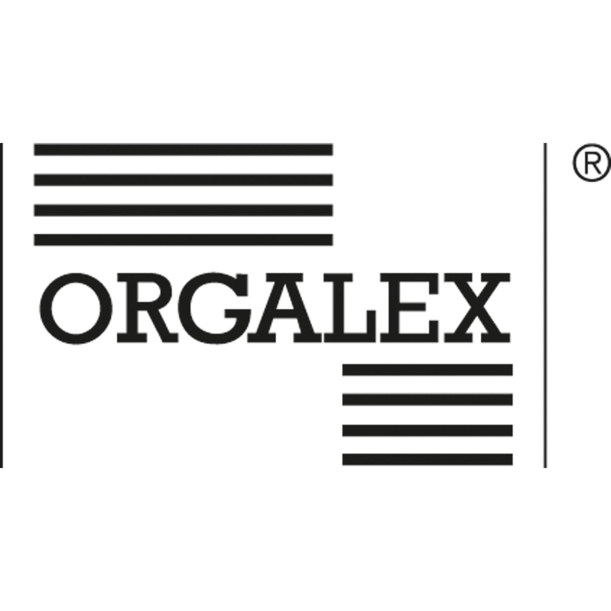 ORGALEX Hängehefter 1206402 1Abheftvorr. Re-Heftung grau