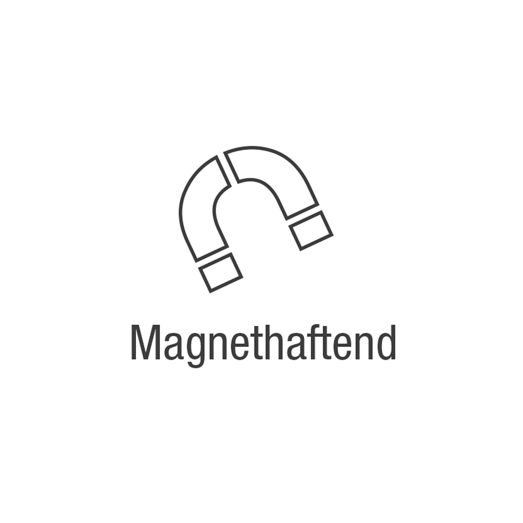 magnetoplan Whiteboard ferroscript 1241300 300x120cm