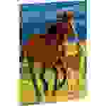 Zeichenmappe A3 -Free Horses- Karton 350 g/qm