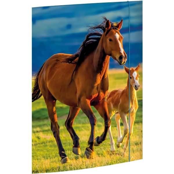 Zeichenmappe A3 -Free Horses- Karton 350 g/qm