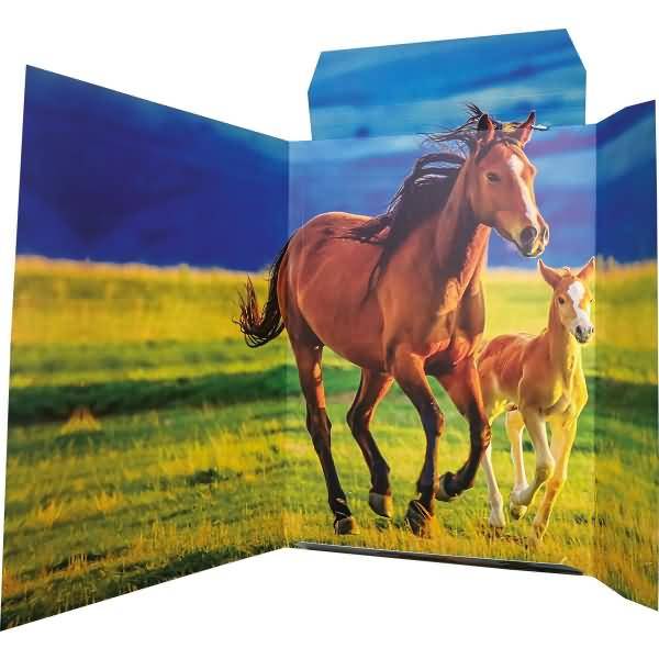 Zeichenmappe A3 -Free Horses- Karton 350 g/qm