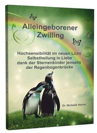 ALLEINGEBORENER ZWILLING Hochsensibilität im neuen Licht - Selbstheilung in Liebe dank der Sternenkinder jenseits der Regenbogenbrücke